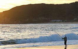 釣魚,波第國家公園(Bouddi National Park) 釣魚,波第國家公園(Bouddi National Park)